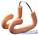 Зажим для носа Arena Super Nose Clip II