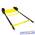 Лестница координационная SKLZ SAQ-SL01-02