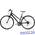 Фитнес велосипед Trek LIVESTRONG FX WSD (2013)
