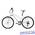 Велосипед Alpine Bike 1000SL Luxury